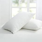 Zipped-Pillow-Protector